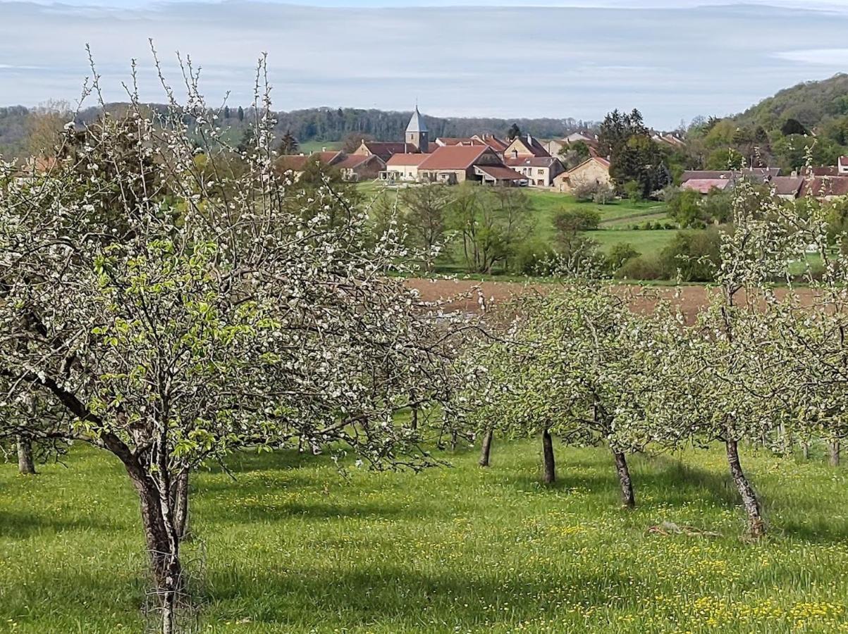 Chateau D'Impasse Laferté-sur-Amance Exteriör bild